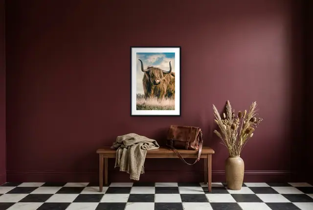 Schotse Hooglander poster in de hal