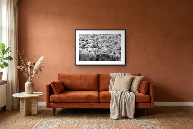 Kudde schapen poster in de woonkamer