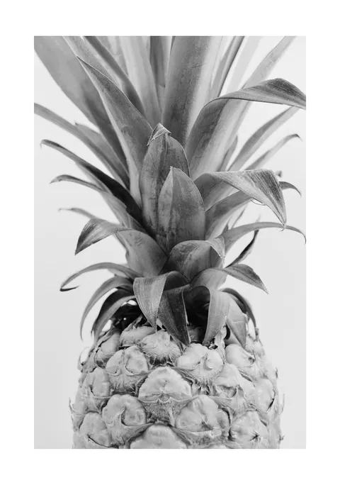 Zwart-wit close-up foto van een ananas met stekelige bladeren tegen een lichte achtergrond.