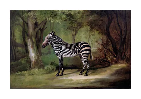 Schilderij van George Stubbs met een zebra in een dicht groen bos.