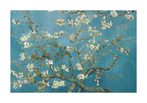 Schilderij van bloeiende amandeltakken met witte bloesems tegen een turquoiseblauwe lucht