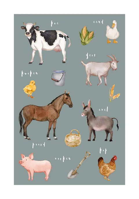 Aquarel illustraties van boerderijdieren met Nederlandse namen op een grijsblauwe achtergrond