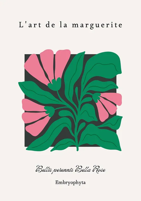 Grafische botanische illustratie van roze margrieten met groene bladeren op lichte achtergrond.