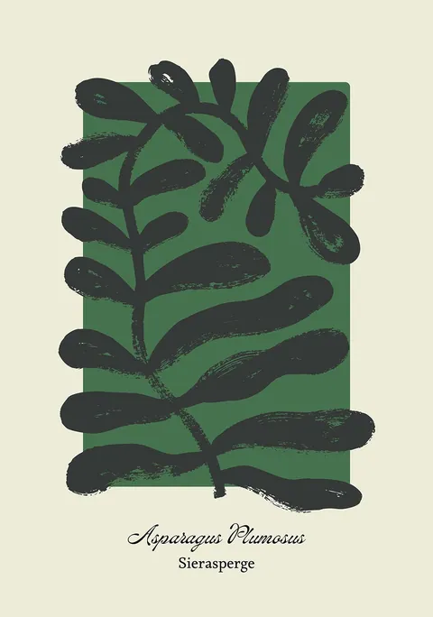 Grafische illustratie van een sierasperge tak op een groen vlak met beige achtergrond