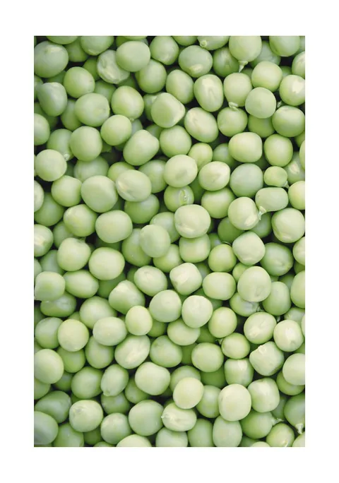 Close-up foto van een grote hoeveelheid verse ronde groene erwten