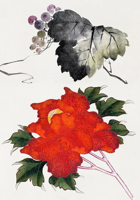 Japanse illustratie van een grote rode bloem met bessen en donkere bladeren