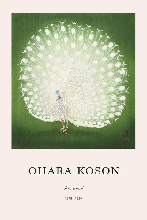 Japanse houtsnede van een witte pauw op een groene achtergrond door Ohara Koson.