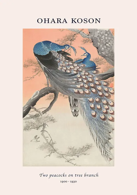 Japanse kunstposter van Ohara Koson met twee pauwen op een boomtak.