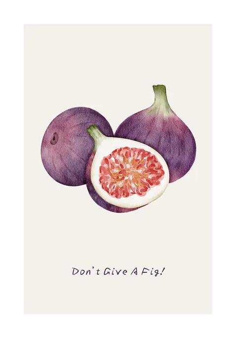 Aquarel illustratie van paarse vijgen met de tekst Don't Give A Fig