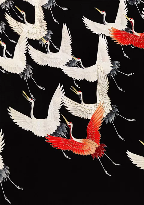 Japanse illustratie van witte en rode vliegende kraanvogels op zwarte achtergrond