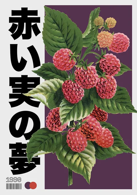 Botanische illustratie van frambozen met Japanse tekens tegen een paarse achtergrond